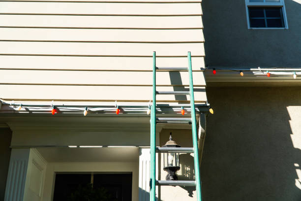 Professional Siding Installation & Repair in Shingle Springs, CA