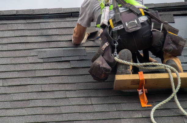 Best Storm Damage Siding Repair  in Shingle Springs, CA