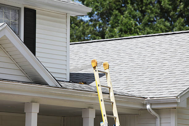 Best Steel Siding Installation  in Shingle Springs, CA